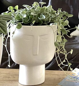 킢 j[N ʔ  v^[ Aؔ  Face Planters for Indoor Plants - Tall 7 Inch Ceramic Self Watering Pots Matte White Plant Pot with Drainage & Inner Pot. Face Vase Or Head Planter. Unique Face Pots for Plants. Me 