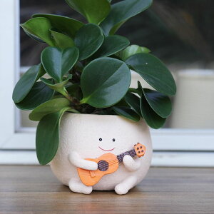 킢 j[N ʔ  v^[ Aؔ  UMESONG Smily Face Planter Pot with Drainage Hole Cute Resin Head Planters for String of Pearls Plant Live Unique Guitar Succulent Pots for Indoor Outdoor Plants Gift IdeaI for Mot 