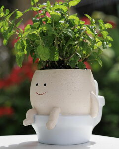 킢 j[N ʔ  v^[ Aؔ  GaloTrek Smily Face Planter Pot Toilet Succulent Pots Cute Resin Flower Head Planters for Indoor Outdoor Plants Unique Bathroom Planter with Drainage Hole (Large) ysAi
