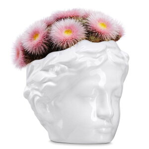 킢 j[N ʔ  v^[ Aؔ  DOMIVKA Head Planter Ceramic Face Planter Pots for Plants Succulent Planters Unique Planters for Indoor Plants Plant Gifts Great for Succulents Fun Planters Cute Plant Pots with Dr 