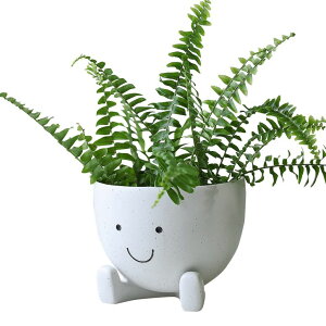 かわいい ユニーク 面白い 癒し プランター 植木鉢 鉢 AIMEBBY Face Flower Pot Face Head Planter for Indoor Plants Succulent Planters with Drainage Hole Resin Planter 4 Inches 【並行輸入品】