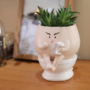 킢 j[N ʔ  v^[ Aؔ  Face Planter Pots Funny Toilet Plant Pot for Indoor Plants, Cute Face Head Flower Pots Quirky Succulent Planters Gift Ideal for Home, Office, Christmas ysAiz