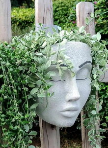 킢 j[N ʔ  v^[ Aؔ  coolboy Face a Planter Pot for Indoor Outdoor Wall Flower Pot,Face Flower Pot Hanging Wall Decoration,Flower Pot Wall Decoration,Facial Flower Pot Decoration,Unique Face Planter Po 