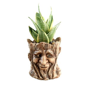 킢 j[N ʔ  v^[ Aؔ  Youfui Funny Planter Head Face Plant Pot with Drainage Hole Resin Succulent Plant Holder Pencil Holder Desk Organizer Office Garden Gift (Smile Face) ysAiz