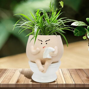 킢 j[N ʔ  v^[ Aؔ  Toparad Frowning Planter Pots for Indoor Plants Cute Resin Flower Head Planters, Sit Toilet Succulent Pots with Drainage Hole Unique Closestool Planter - Gift IdeaI for Birthday an 