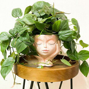 킢 j[N ʔ  v^[ Aؔ  JOFAMY Face Planter Pots for Indoor Plants, Resin Cute Face Flower Pot for Indoor Outdoor Plants with Drainage Hole, Closed Eyes 5.3" Dia 6.3" Tall ysAiz