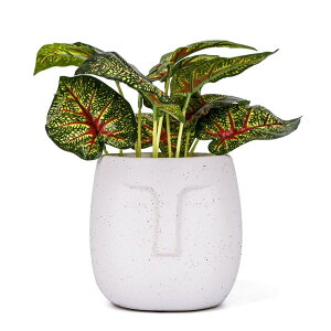킢 j[N ʔ  v^[ Aؔ  VanEnjoy 5.5 Inches White Ceramic Head Face Planter Pot for Plants, Modern Indoor/Outdoor Vase, Face Statue Plant Pot for Home Decoration ysAiz