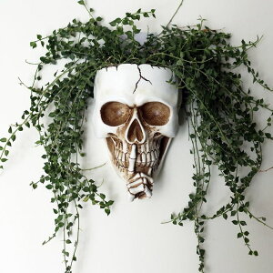 킢 j[N ʔ  v^[ Aؔ  Dolkgy Skull Wall Planter for Indoor Outdoor Plants, Hanging Skull Vase Unique Face Flower Pot Head Planters, Resin Skeleton Gothic Planter for Home Decorations, White Skull Hangin 
