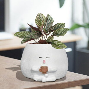킢 j[N ʔ  v^[ Aؔ  Toparad Smily Face Planter Pot with Coffee Cup Cute Resin Flower Head Planters for Indoor Outdoor Unique Sit Succulent Pots with Drainage Hole Gift IdeaI for Mother Christmas (Whit 