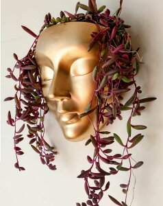 킢 j[N ʔ  v^[ Aؔ  Bossa Linda Face Wall Planter | 7 Colors Available | Unique Head Planter for Indoor Wall Decor | Perfect as a Succulent Wall Planter or Cactus Planter - Calma Design, Gold ys