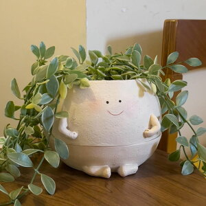 킢 j[N ʔ  v^[ Aؔ  NINIPAPA Self Watering Plant Pot 4 Inch Cute Smile Face Planter Pot for Indoor Outdoor Plants with Drainage Hole Unique Flower Pots for Succulent/Herbs/Violets ysAiz