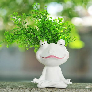 킢 j[N ʔ  v^[ Aؔ  Face Planters Pots Head Yoga Frog Resin Plant Pot with Drainage Hole ysAiz