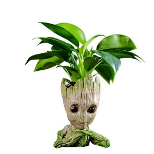 킢 j[N ʔ  v^[ Aؔ  WT WINGTENG Unique Planter for Indoor Plants Pot Cactus Cute Flowerpot with Drainage Hole,Funny Succulent Planters Home Decor Adorable Christmas Birthday Gift for Plant Lovers -6 i 