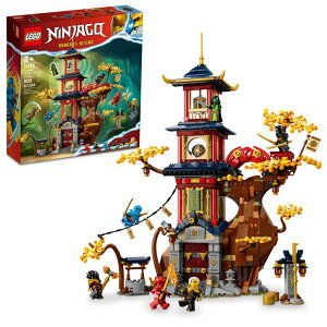 }CN  ender dragon LEGO NINJAGO Temple of The Dragon Energy Cores 71795, Building Toy with a NINJAGO Temple and 6 Minifigures Including Cole, Kai and NYA' Gift for Kids Ages 8+ Who Love Buildable Ninja Playsets ysAiz