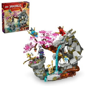 }CN  ender dragon LEGO NINJAGO Dragon Stone Shrine, Build and Display Ninja Toy with 6 Ninja Action Figures, Advanced Building Ninja Kit, Birthday Gift Idea for Boys and Girls Ages 13 Years Old and Up, 71819 ysAiz
