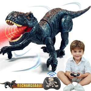 R J[ Mtg RC   Sunrad Remote Control Dinosaur Toys for Kids 3-5 4-7 8-12 Year Old, Electronic RC Robot Dinosaur with Spray & Light & Roar, Realistic Walking T-Rex Toys Birthday Gifts for Boys Girls ysAiz