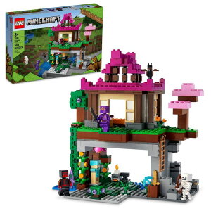 }CNtg }CN S LEGO Minecraft The Training Grounds Toy Building Set 21183 Minecraft Toy for Kids, Boys and Girls Age 8+ Years Old, Building Kit with House, Cave, Trapdoor, and Ninja, Rogue and Bat Minecraft Figures ysA