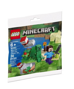 }CN  N[p[ LEGO Minecraft Steve and Creeper Polybag Set 30393 (Bagged) Toy ysAiz