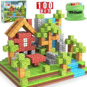 }CN  ender dragon Wanplay Magnetic Blocks, 100PCS Magnetic Building Blocks for Kids, Build Mine Magnet World Set STEM Montessori Sensory Cubes for Toddlers, Magnetic Birthday Gift Toys for Aged 3-12 Boys & Girls ysAiz