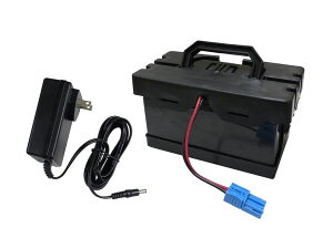 fBYj[ vZX Disney Princess 24V 7Ah Battery and Charger Combo Set for Dynacraft Realtree UTV Disney Princess Carriage 24 Volt Child Ride On Car ysAiz