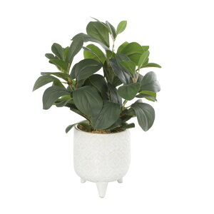 ���� �u�� �G�� �C�O Deco 79 Faux Foliage Artificial Plant, 10 x 8 x 14, Green �y���s�A���i�z