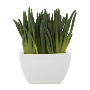 ���� �u�� �G�� �C�O Deco 79 Faux Foliage Artificial Plant with White Ceramic Pot, 8 x 6 x 8, Green �y���s�A���i�z