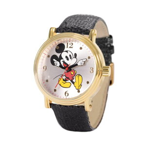 fBYj[ Disney p rv fB[X EHb` Vo[ WDS001225 ysAiz