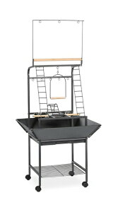 IE I[v ~܂ CR  vCX^h ubN n}[g[ 45cm 17C` Prevue Pet Products Small Parrot Playstand 3181 Black Hammertone, 17.625-Inch by 16-1/2-Inch by 59-Inch ysAiz