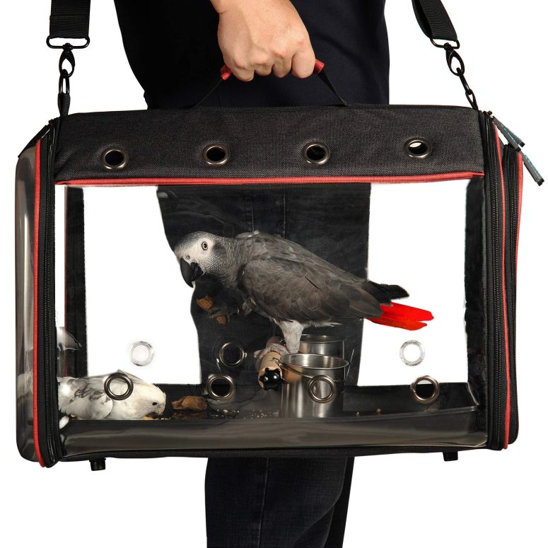 楽天市場】インコ 小鳥 バード トラベルキャリアー Colorday Lightweight Bird Carrier, Bird Travel  Cage (Large 19 x 12 x 13, Black) 【並行輸入品】 : MJ-MARKET