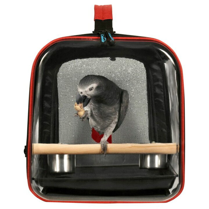 楽天市場】インコ 小鳥 バード トラベルキャリアー Colorday Lightweight Bird Carrier, Bird Travel Cage (Large 19 x 12 x 13, Black) 【並行輸入品】 : MJ-MARKET 楽天市場】インコ 小鳥 バード トラベルキャリアー Colorday Lightweight Bird Carrier, Bird Travel Cage (Large 19 x 12 x 13, Black) 【並行輸入品】 : MJ-MARKET