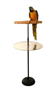IE I[v ~܂ CR Ƃ܂  o[h TX^h ȃRSECR Parrot Training Perch Stand with Potty Tray (Large T Perch) ysAiz