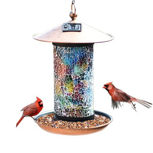 o[htB[_[ 쒹 a ̃GT K[fpI[ig nMO ݂邵^ XDW-GIFTS Solar Bird-Feeder for Outside Hanging Outdoor - Solar Powered Garden Lantern Light Bird-House Wild Hanging Birdfeeder W