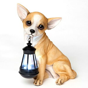 LED�\�[���[���C�g �\�[���[�p���[ �K�[�f�����C�g Bits and Pieces - Chihuahua Solar Lantern Statue - Solar Powered Garden Lantern - Resin Dog Sculpture with LED Light - Outdoor Lighting and Decor �y���s�A���i�z