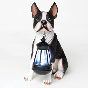 LED\[[Cg \[[p[ K[fCg  Bits and Pieces - Boston Terrier Solar Lantern Statue - Yard Decorations - Solar Powered Garden Lantern - Resin Dog Sculpture - Outdoor LED Lighting ysAiz