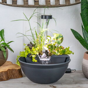 ��� ���� ��̃I�u�W�F �e�[�u���g�b�v�t�@�E���e�� �C���e���A���� Aquascape AquaGarden Tabletop Fountain Kit, Gray, 78347 �y���s�A���i�z