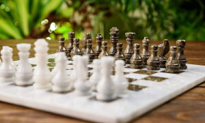 `FXZbg RADICALn White and Grey Oceanic Handmade Weighted Marble Popular Classic Staunton Tournament Chess Set - Ambassador Gift Style Logic Play Board Chess Game ysAiz