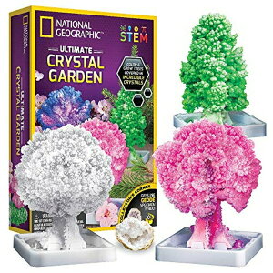 iViWIOtBbN NX^K[f NATIONAL GEOGRAPHIC Craft Kits for Kids - Crystal Growing Kit - Grow a Crystal Garden in Just 6 Hours, Educational Craft includes Art Project, Geode, and STEM Learning Guide, Arts and y