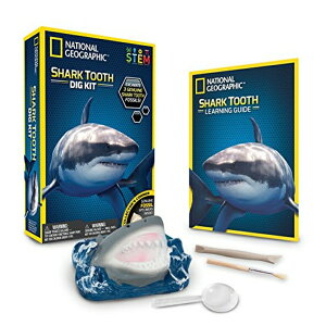 iViWIOtBbN T̎  National Geographic 80473 Shark Teeth Dig Kit ysAiz