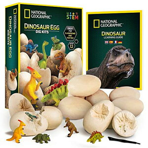 iViWIOtBbN @Lbg NATIONAL GEOGRAPHIC Dinosaur Dig Kit - 12 Dino Shaped Dig Bricks with Dinosaur Figures Inside, 12 Excavation Tool Sets, Perfect Activity for Egg Hunt or Dig Party, Great STEM Toy for Boys y
