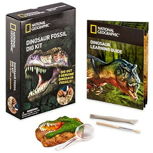 �i�V���i���W�I�O���t�B�b�N �������Δ��@�L�b�g 12 Pack: National Geographic? Dinosaur Fossil Dig Kit �y���s�A���i�z