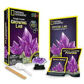 ナショナルジオグラフィック 紫水晶育成ラボ 12 Pack: National Geographic? Purple Crystal Growing Lab 【並行輸入品】