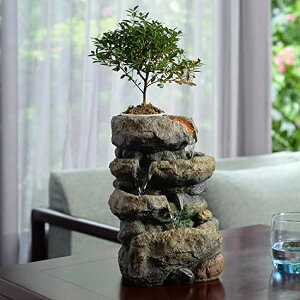   ̃IuWF e[ugbvt@Ee CeA Kalona Indoor Fountain Exquisite Rockery Fountains Soothing Sound Tabletop Fountains Home/Office Decor with a Small Plastic Pot to Grow The Plant by Yourself(Aut