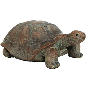 K[fCgLED\[[Cg \[[p[ Sunnydaze Talia The Tortoise Garden Statue - Glass Fiber Reinforced Concrete Construction - Indoor/Outdoor Yard Art Decor - Turtle Lawn Ornament - Backyard and Patio Animal Sculpture - y