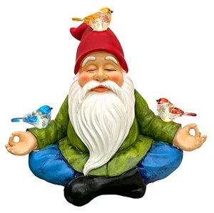 K[fCgLED\[[Cg \[[p[ RAYWER Solar Powered Gnome with Red Hat and 3 Birds Decorated Solar Light, Garden Decorations Statues, Garden Light Decor for Lawn Ornaments, Resin Garden Figurines (Gnome with 3 Birds)