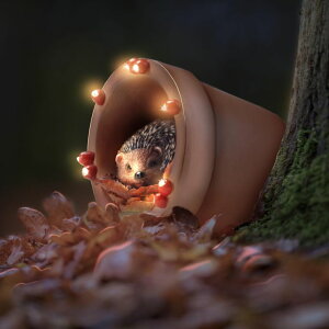 K[fCgLED\[[Cg \[[p[ Muldale Hedgehog Garden Statue Solar Light - Hedgehog Ornament Outdoor - Solar Powered Yard Decor for Outside - Hand Painted Floral Light Up Ornament 5.75" ysAiz