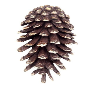 hAmbJ[ SPI Home Solid Brass Pinecone Doorknocker 7 Inches High ysAiz