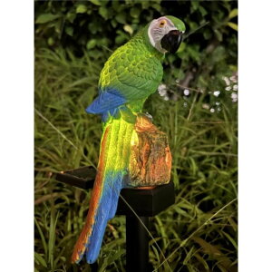 K[fCgLED\[[Cg \[[p[ Parrot Figurine Garden Solar Stake Light Parrot Solar Lights Outdoor Decorative Bright Light for Garden, Lawn, Patio, Yard Decoration (Green) ysAiz