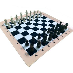 `FXZbg Chess Travel Set Portable Ultra Thin Folding Board Game: Youth Gift Family Game Children's Logical Thinking Training Adult Education Toys Puzzle Chess Mini Ajedrez ysAiz