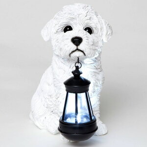 �K�[�f�����C�gLED�\�[���[���C�g �\�[���[�p���[ Bits and Pieces - Dog Solar Lantern Statue - Solar Powered Garden Lantern - Resin Dog Sculpture with LED Light - Outdoor Lighting and D?cor (Bichon) �y���s�A���i�z