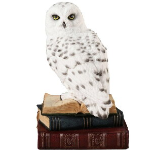 Ǌ|v  Veronese Design 6 7/8 Inch Snowy Owl Perching On Stack of Books Resin Sculpture Hand Painted Figurine Animal Home Decor Statue ysAiz